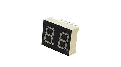 CA 7-SEG 2-DIGIT 15X20 R