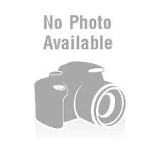 COB 220V 5W COOL WHITE